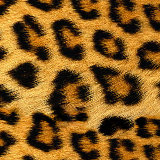 HTV SPECIAL OFFER - Siser EasyPatterns :- Wild Leopard - A4 sheet